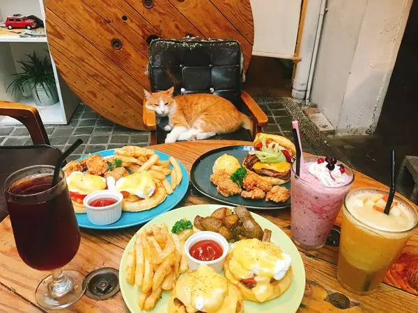 台北美食│【捷運國父紀念館站】萌貓快到碗裡來——Toast Chat