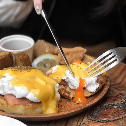 貓奴快來收藏，這家店完全值得去呀 ●  Toast chat  |  台北大安美食