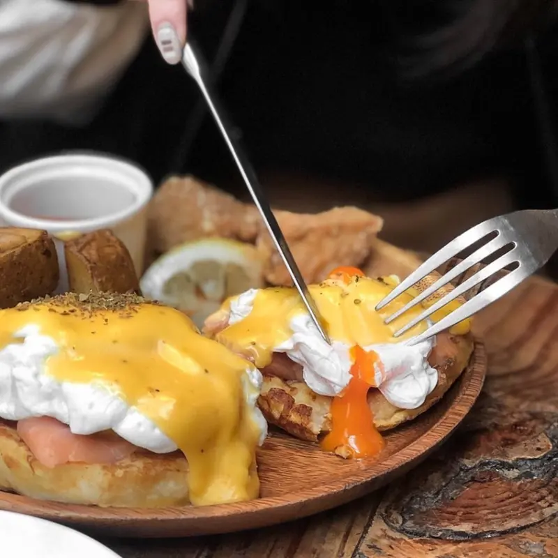 貓奴快來收藏，這家店完全值得去呀 ●  Toast chat  |  台北大安美食