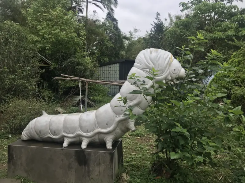 悠閒獅潭之旅-寶貝們與蠶寶寶相遇XD