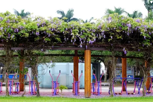 【新北-永和區】永和仁愛公園紫藤花開，每個月的第二、四個星期日還有親子活動日（大型遊戲氣墊免費玩）