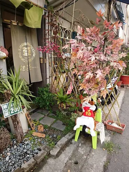 楓紅與脆綠，走著貓咪的腳印，尋找屬於草DORO的歲時紀