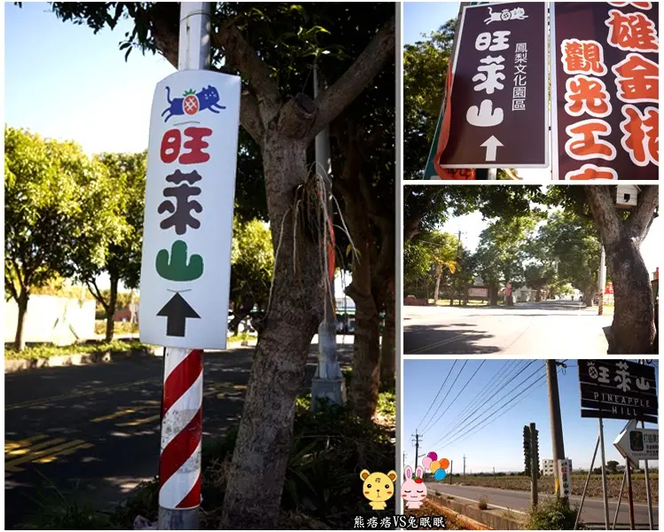 【神秘客初體驗】民雄旺萊山鳳梨文化園