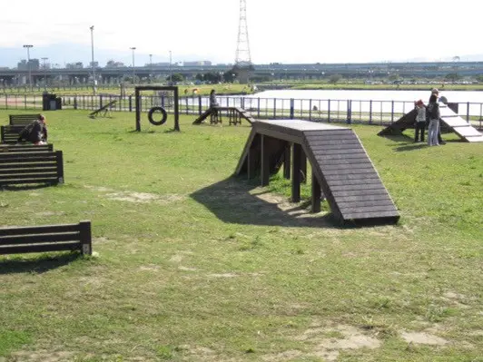 ♥蘆堤寵物公園♥