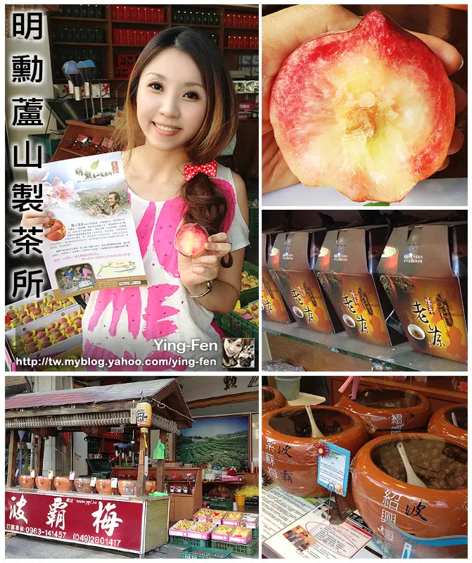 明勳蘆山製茶所