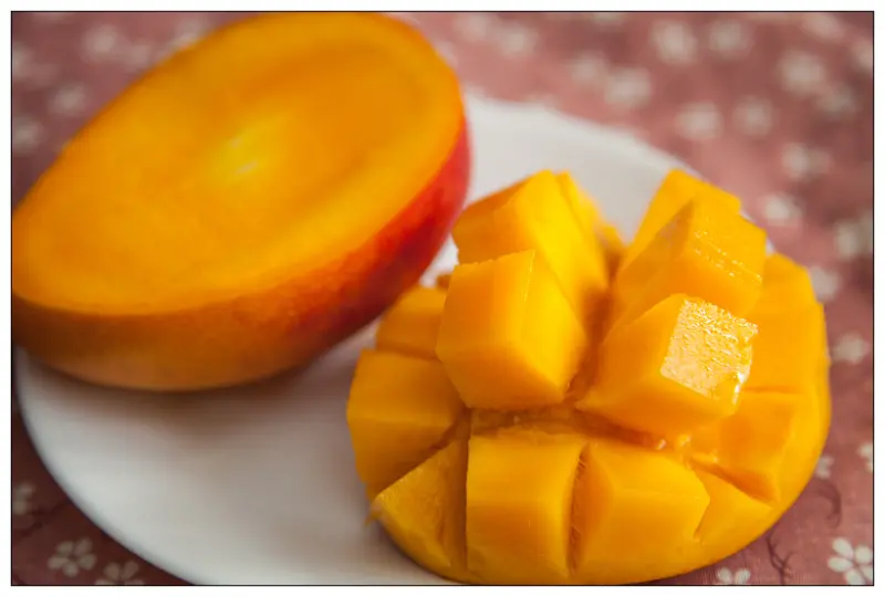 【食記】 屏東 枋山廬家芒果_碩大飽滿的牛奶有機肥栽種芒果