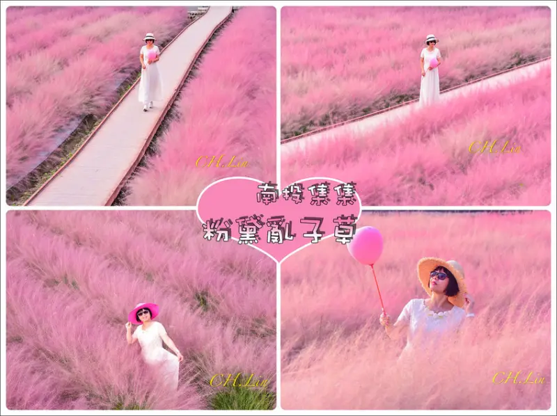 [遊記]【南投縣集集鎮】2020粉黛亂子草花海。徜徉浪漫粉紅花海│粉芒園-粉紅愛情草(和平快樂田園)10/10開幕│秋季限定景色‧像極了愛情│IG.FB網美熱門打卡景點│國慶連假/位置/怎麼去/拍攝點