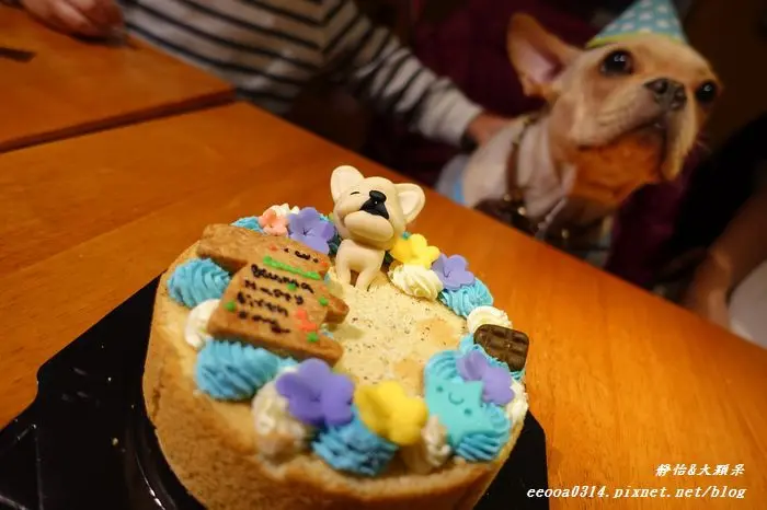 【台北餐廳】貳樓餐廳 Second Floor Cafe 仁愛店♥歡迎寵物的友善餐廳 KUMA慶生記