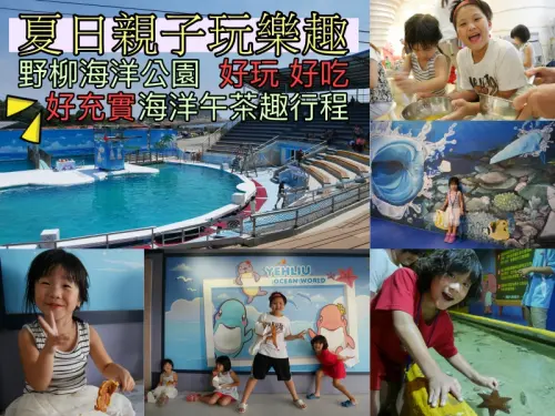 【親子旅遊♥萬里】海洋王國一日遊－野柳海洋世界「海洋午茶趣套裝行程」－水母深度導覽、彩繪3D奇幻魚、雞蛋糕親子DIY、國際高空跳水秀