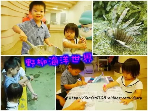 【新北野柳親子景點】野柳海洋世界 海洋午茶趣 水母深度導覽、雞蛋糕DIY、彩繪3D奇幻魚 、海洋劇場…