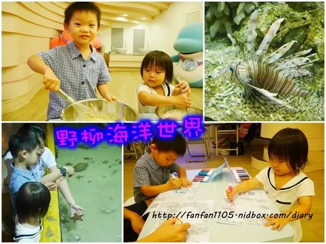 【新北野柳親子景點】野柳海洋世界 海洋午茶趣 水母深度導覽、雞蛋糕DIY、彩繪3D奇幻魚 、海洋劇場…