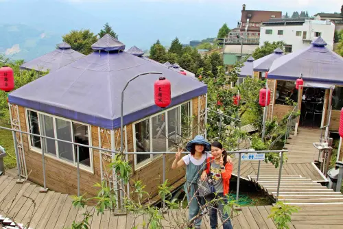 女孩們尖叫吧！真的像置身濃濃異國帳篷莊園內用餐‧好雞婆土雞城