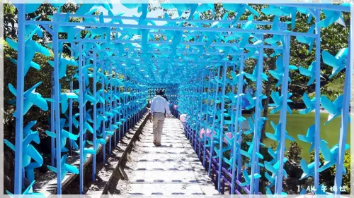 2017清境農場清涼遊之小瑞士風車轉轉好療癒+高空景觀步道好視野+好雞婆餐廳好好吃