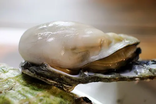 【台中】第一猛鮮蚵 不是鮮蚵不上架