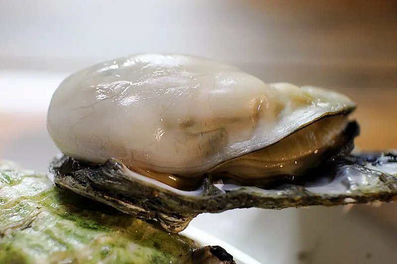 【台中】第一猛鮮蚵 不是鮮蚵不上架