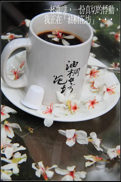 《2011桐花祭—苗栗》油桐花坊