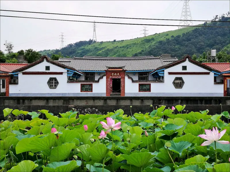 [台中景點] 清水趙家古厝 趙家荷園台中清水必遊景點 夏天盛開超美麗