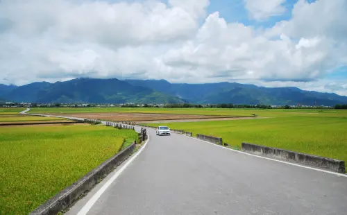 季節 の 顏 * 台東 . 伯朗大道 ( 天堂之路 )