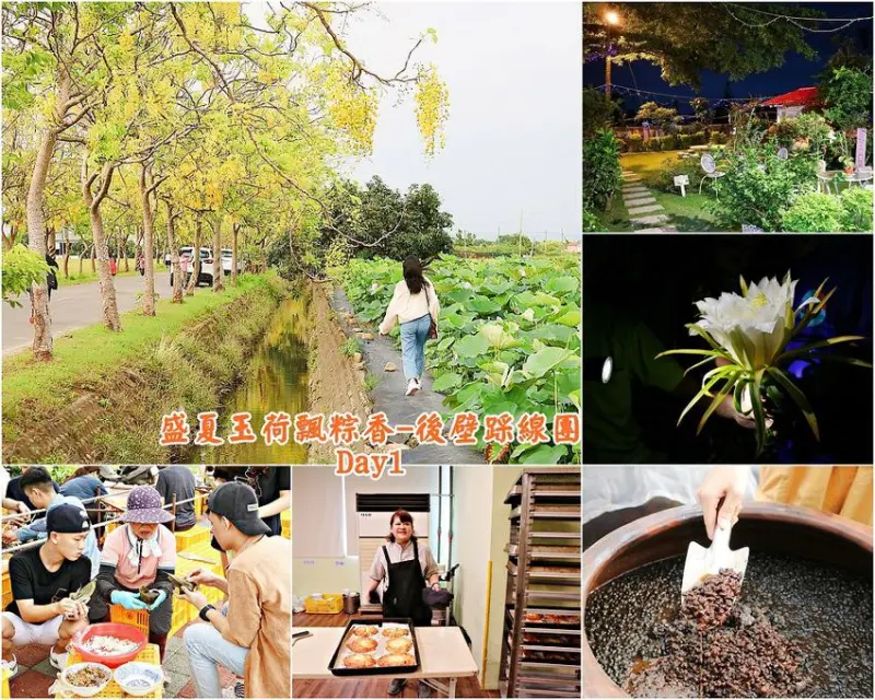 盛夏玉荷飄粽香-後壁踩線團(day1)：兩天一日深度遊台南後壁｜將軍山農場.卡多利亞米食館.白河賞蓮.阿勃勒黃金大道.泰安宮.嘉南大圳洗衣亭.永興醬油工廠.下茄苳榻榻米.向陽田園居民宿｜中華醫事科技大