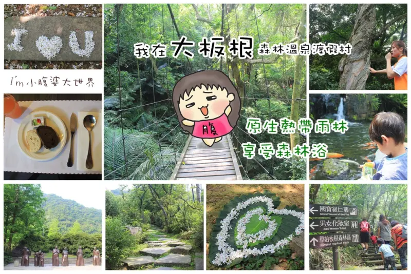 【三峽旅遊】大板根森林溫泉渡假村(Day2)，Buffet早餐+原生熱帶雨林導覽+超級美油桐花步道。