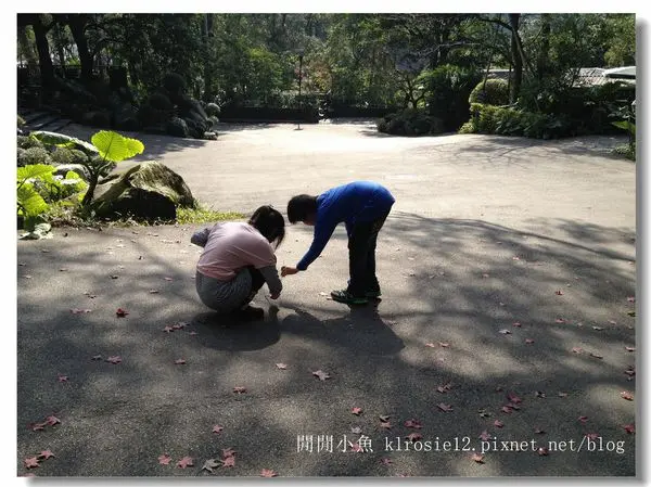 ✿新北市三峽景點☆大板根森林溫泉渡假村☆親子飯店推薦~泡湯溫泉美人湯~飯店篇