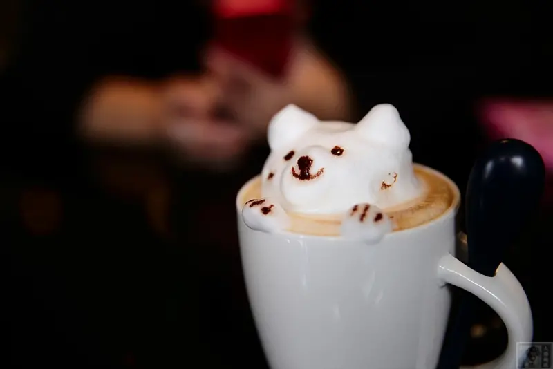 西門町美食-IN% HAIR SALON & CAFE-全台首創-時尚的沙龍與輕食-超可愛3D立體拉花