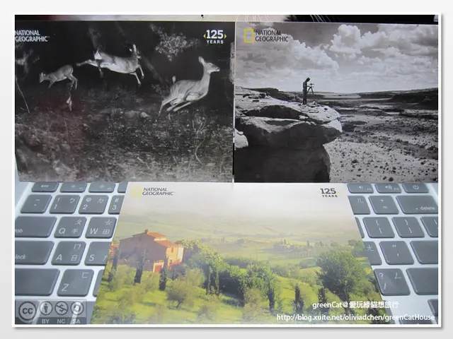 探索無限-國家地理125年影像大展