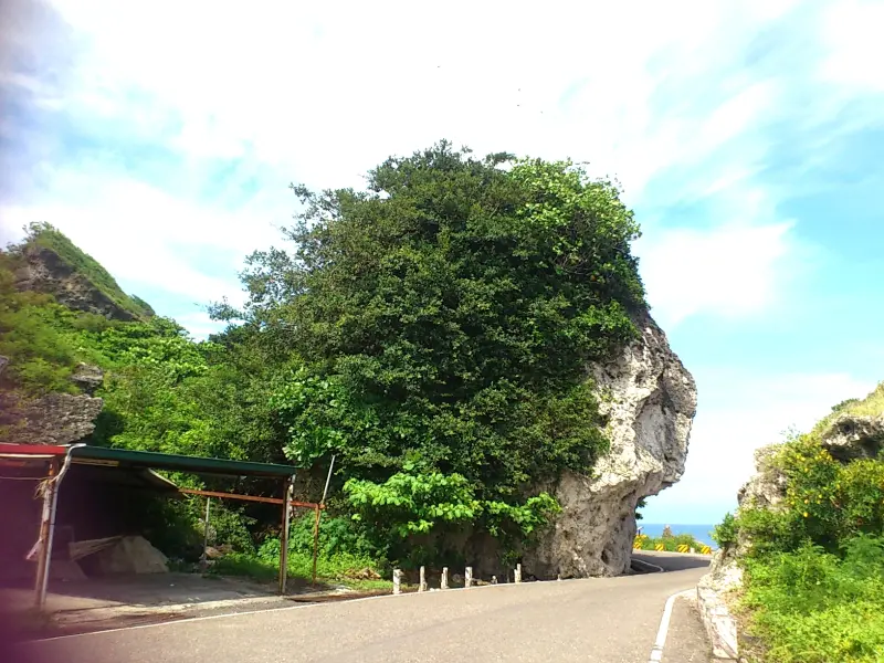 【小琉球】尋找陳菊頭、花瓶岩、觀音石與三大知名景點(烏鬼洞、美人洞、山豬溝)