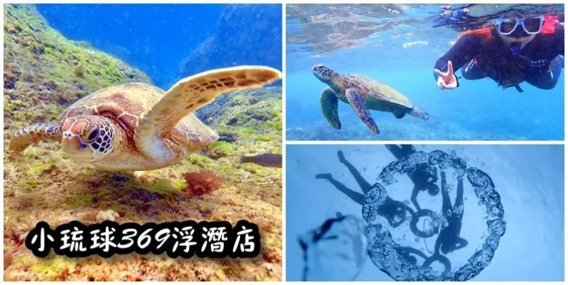 【小琉球冬天浮潛】小琉球冬天海龜更多浮潛更好玩!小琉球369浮潛店有專業教練帶你去跟海龜拍照&抓魚!來小琉球就是要浮潛看海龜!(小琉球冬天旅遊、小琉球浮潛) @猴屁的異想世界