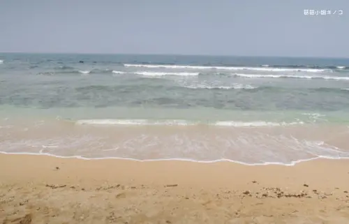 遊。小琉球-玩遍小琉球-騎機車以外的涼爽新選擇~601小琉球環島接駁公車~