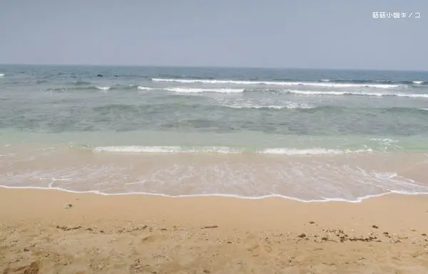 遊。小琉球-玩遍小琉球-騎機車以外的涼爽新選擇~601小琉球環島接駁公車~