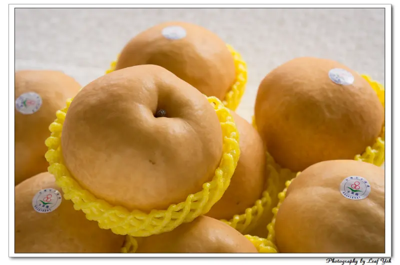 [試吃][台中]有身分證的高接梨。龍安果園 / 台中新社