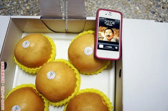 [宅購] 台中新社-龍安果園高接梨。多汁、超大、極甜美、很幸福！