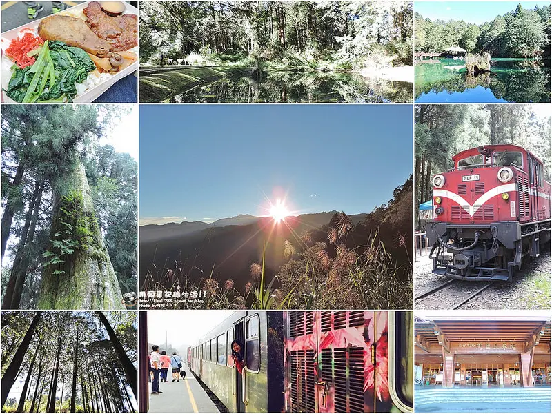 旅遊。嘉義★到奮起湖吃便當。阿里山森林小火車