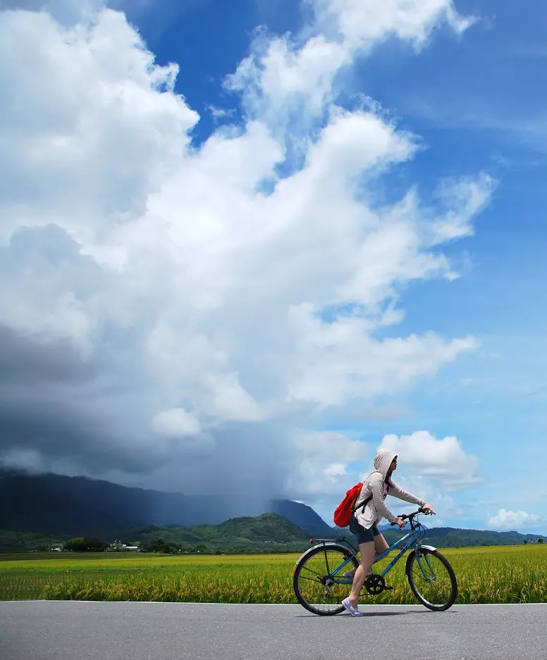 心裡那幅畫 * 台東 . 夏之旅