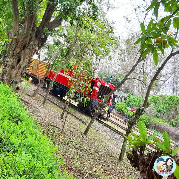 【嘉義】欣賞北門驛站古蹟的美，再到森鐵故事館遊玩，親子共享歡樂的好去處