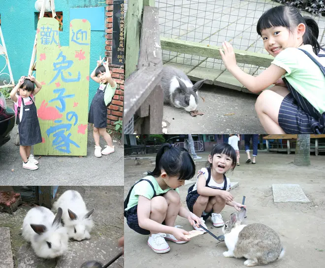 士林外雙溪│捷運劍潭站_2015.05.01親子同遊【Two House 兔子餐廳2-至善店】*兩姊妹的餵兔兔初體驗!!