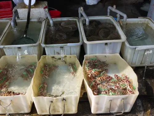 【台北】萬里蟹季龜吼漁港三明美食海景餐廳&萬里之光超熱賣亞尼克蛋糕