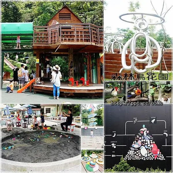 【森林鳥花園】親子同遊～孩子們的森林樂園，超多刺激的溜滑梯／沙坑／餵鳥／樹屋／迷宮