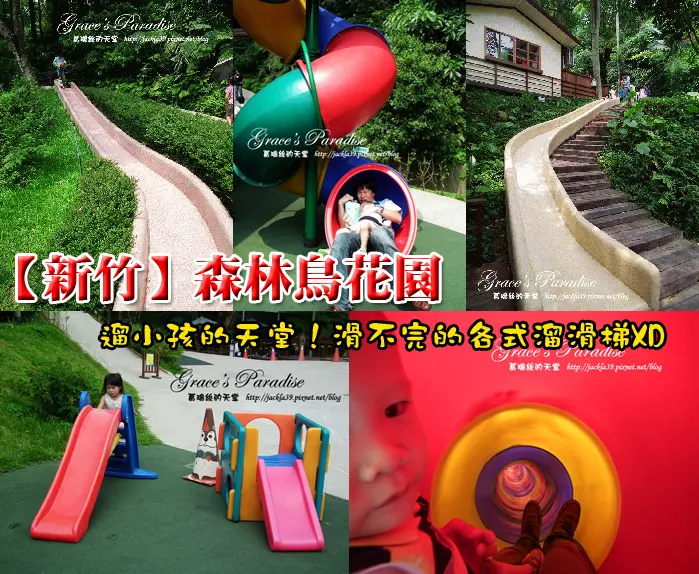 【新竹】森林鳥花園--超長溜滑梯大小人都玩翻天，園區廣大超好逛的親子優良去處推薦！(含炊煙裊裊親子餐廳介紹)