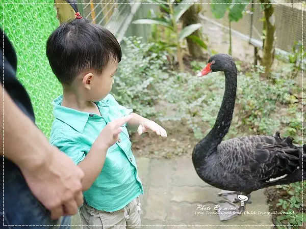 [親子]好悠閒的戶外親子同樂好去處!溜溜滑梯 賞鳥去。新埔 森林鳥花園