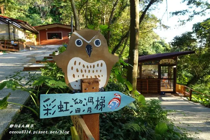 【新竹新埔】森林鳥花園 遛小孩+親子同遊♥讓小孩嗨翻天的快樂鳥花園