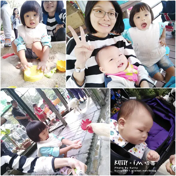 ▌新竹新埔親子 ▌森林鳥花園。孩子的遊樂園！餵鳥/樹屋/滑梯/沙坑～儘管跑吧