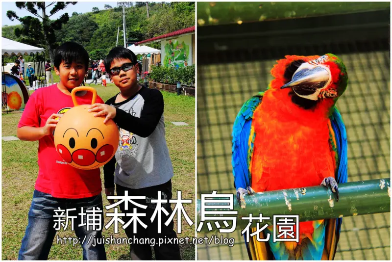 《遊記║新竹新埔》森林鳥花園～戶外親子花園賞鳥趣