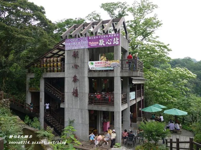 【2014桐花季】相約浪漫桐花樹下~賞桐花吃美食♥新竹峨眉 歇心茶樓♥