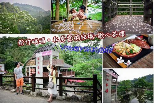 【新竹遊記】峨嵋景點~歇心茶樓/新竹賞桐祕境/飲茶觀桐趣/桐花套餐/獅山古道