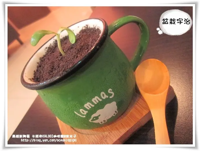 高雄 卡諾帝KALODI咖啡館-給妳個優閒又兼具味覺享受的Tea Time