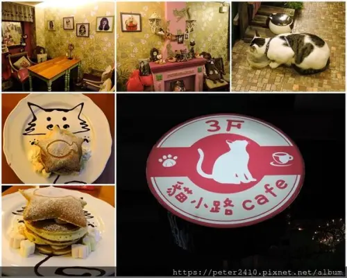 【基隆】貓小路咖啡館│與白貓一同品味咖啡香