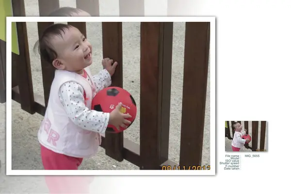 心鮮森林玩耍去