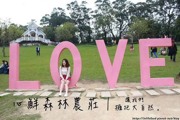 [新竹旅遊]超大草原奔跑好放鬆！「心鮮森林農莊」適合全家人及帶寵物來遊樂，待上半天都不膩×沉浸在浪漫愛情莊園裡